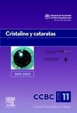 Foto Seccion 11: cristalino y cataratas 2011-2012 (en papel) foto 822351