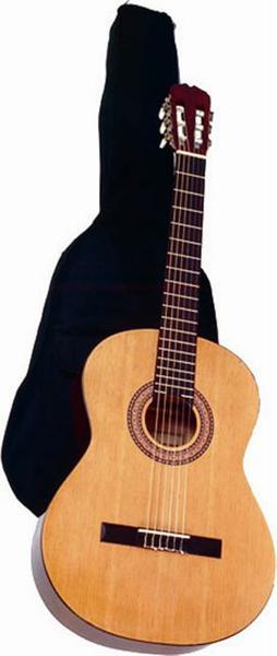 Foto Sonora Sgn-450 Classic Guitar w/Gigbag foto 250689