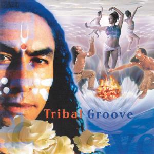 Foto Tribal Groove CD Sampler foto 898840