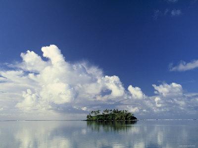 Foto Tropical Island, Raratonga, Cook Islands, Peter Adams - Laminas foto 481082